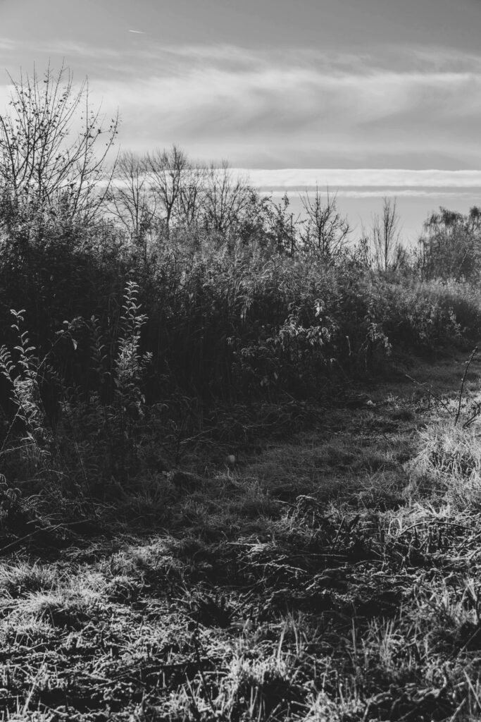 pexels strannik sk 34920935