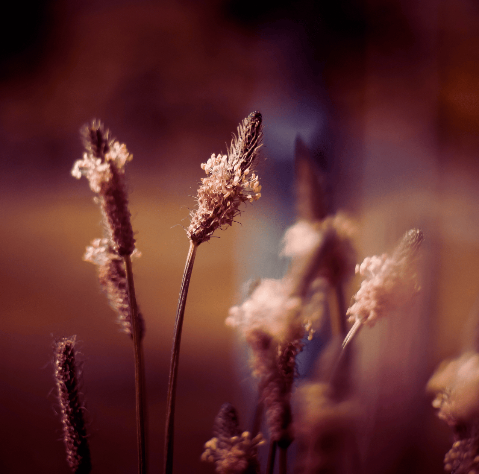 copy of solutions overline (11)