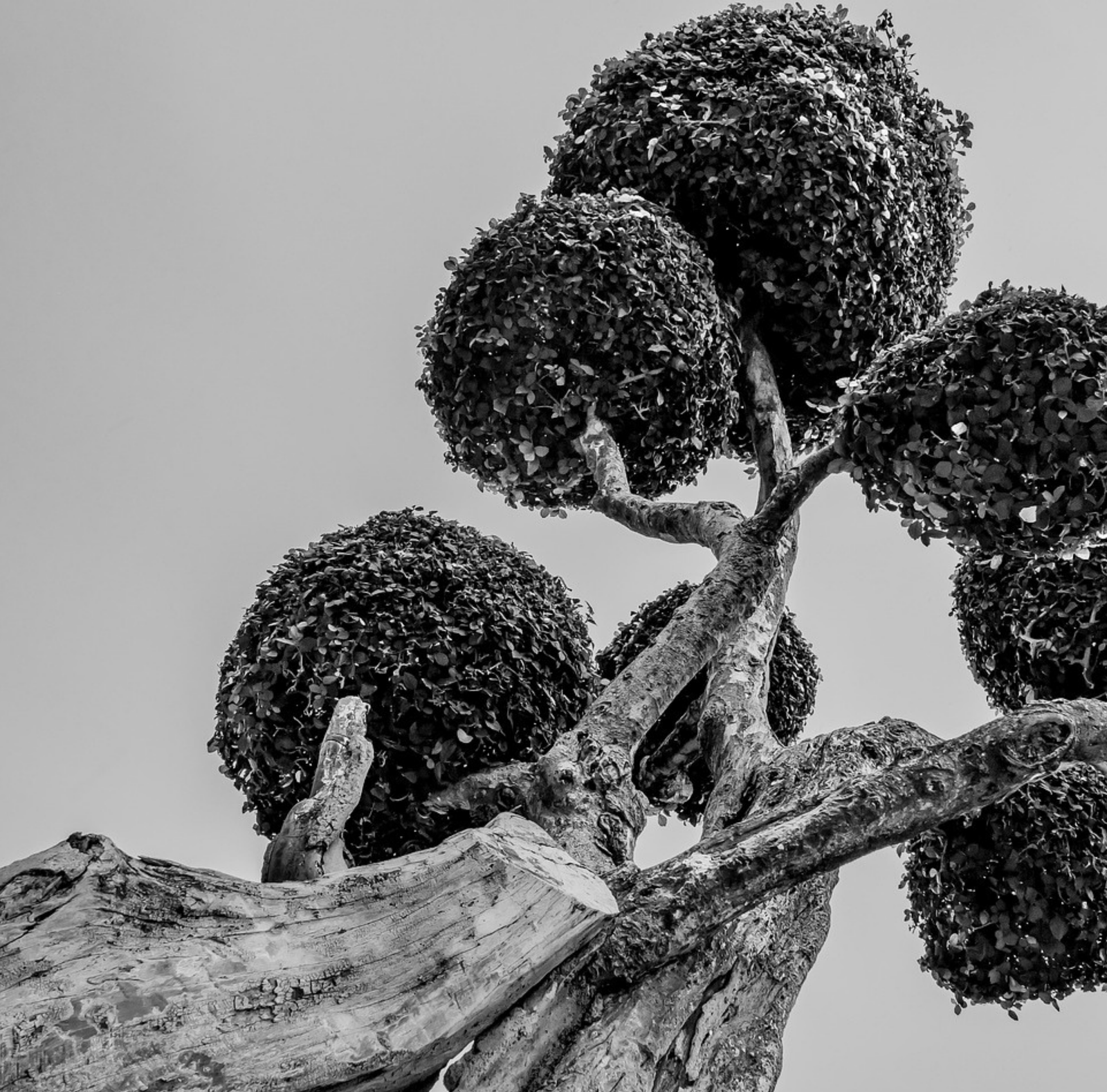 copy of solutions overline (8)